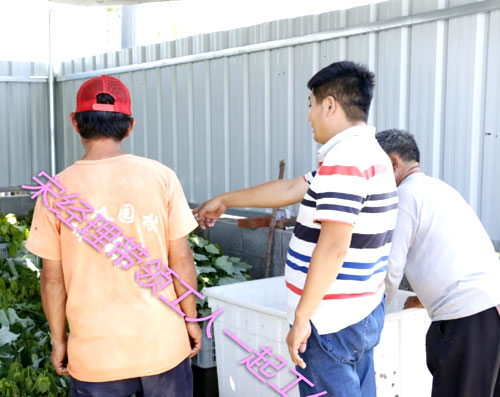 夏日來臨，當(dāng)你吹空調(diào)喊熱的時候，讓我?guī)阋黄鹱哌M(jìn)東楓園林體驗(yàn)一下東楓人高溫下工作不一樣的夏日風(fēng)采