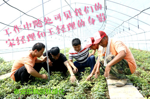 夏日來臨，當(dāng)你吹空調(diào)喊熱的時候，讓我?guī)阋黄鹱哌M(jìn)東楓園林體驗(yàn)一下東楓人高溫下工作不一樣的夏日風(fēng)采