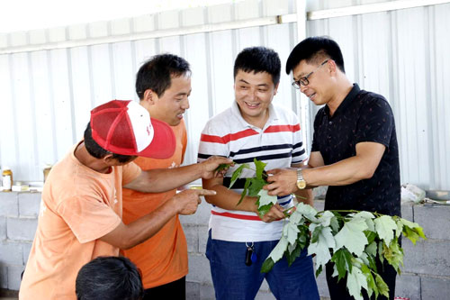 夏日來臨，當(dāng)你吹空調(diào)喊熱的時候，讓我?guī)阋黄鹱哌M(jìn)東楓園林體驗(yàn)一下東楓人高溫下工作不一樣的夏日風(fēng)采